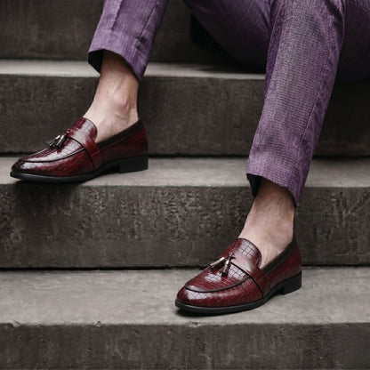 Kavsun Men Tassels Loafer Cherry